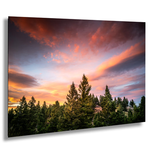 a picture of a sunset with trees in the foreground