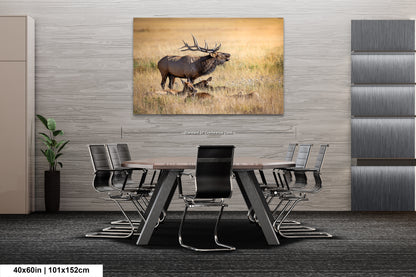 a painting of a bull standing in a field