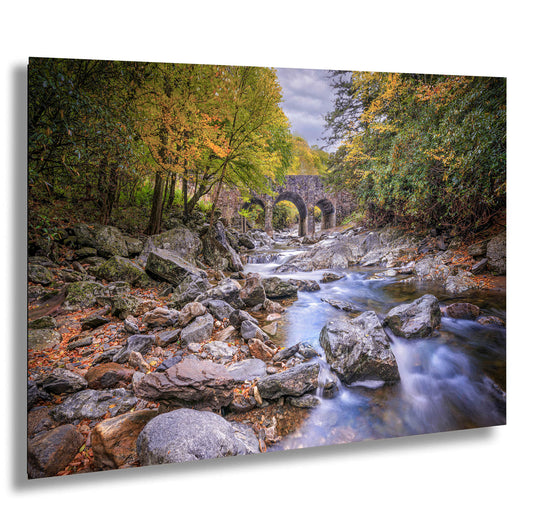 a river running through a lush green forest