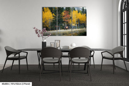 a dining room with a table and chairs