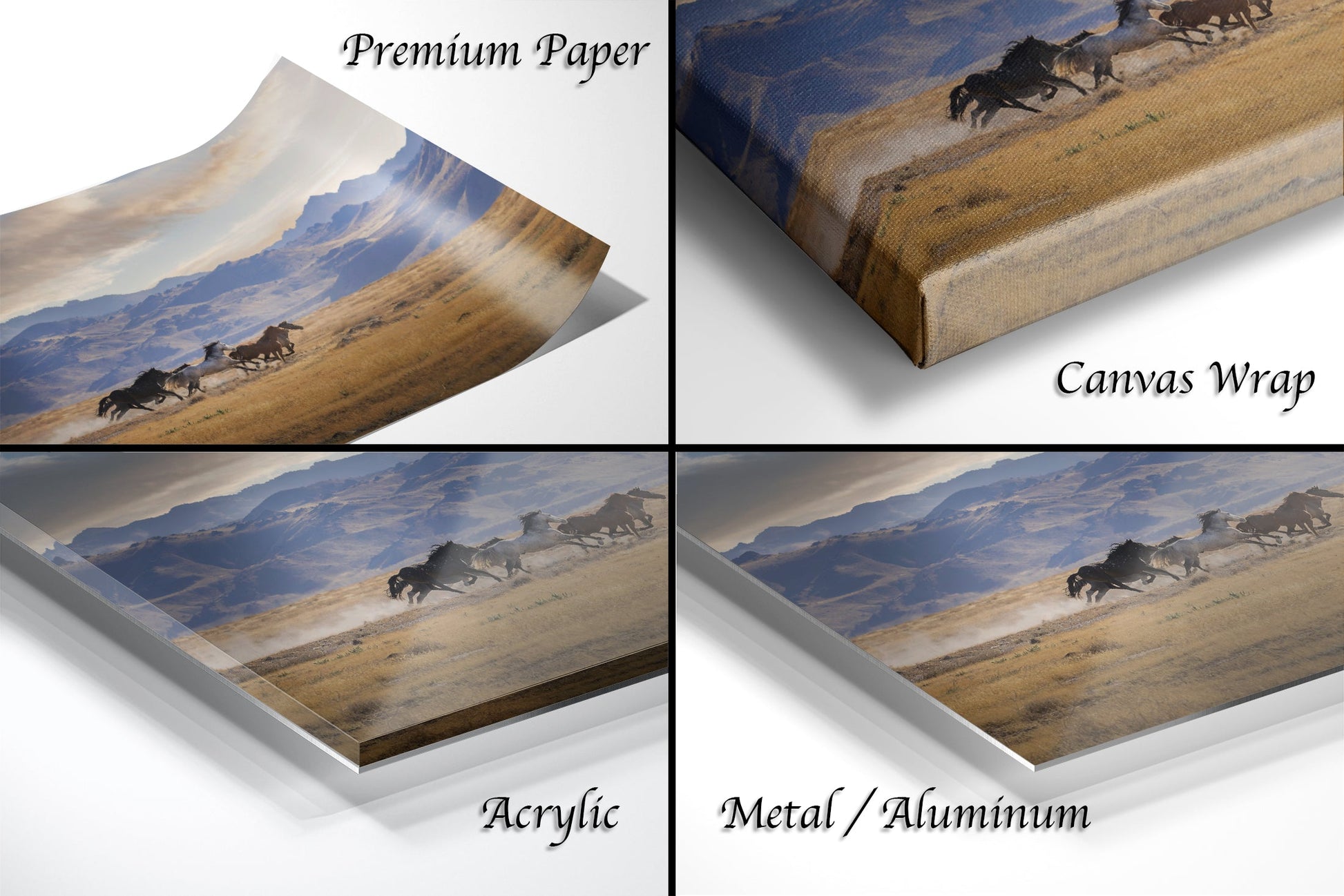 four images of horses running in a field