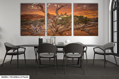 a dining room with a table and four chairs