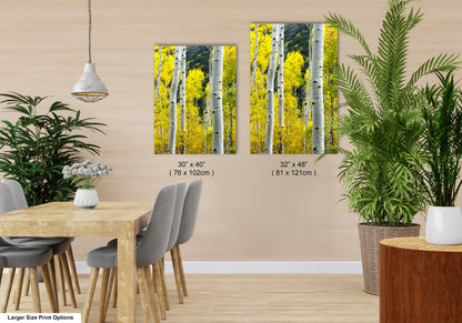 a dining room with a table and chairs