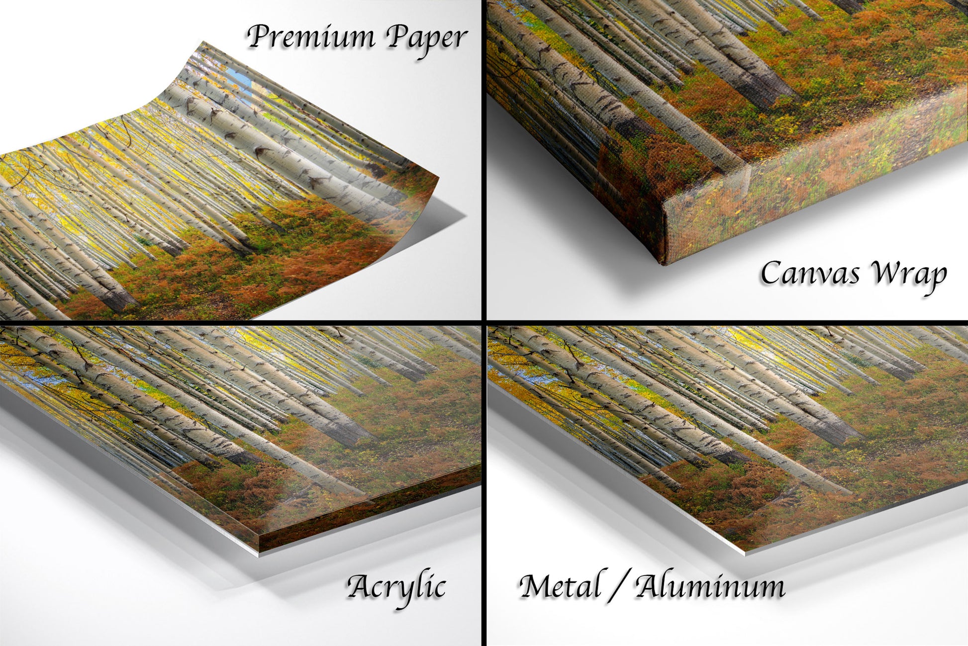 a series of four photos of a forest