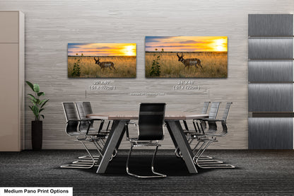 a modern office space with a large wall featuring two framed landscape paintings depicting a sunset over a field with a deer. The paintings are hung at eye level, and the chairs in front of the wall are arranged around a wooden table.