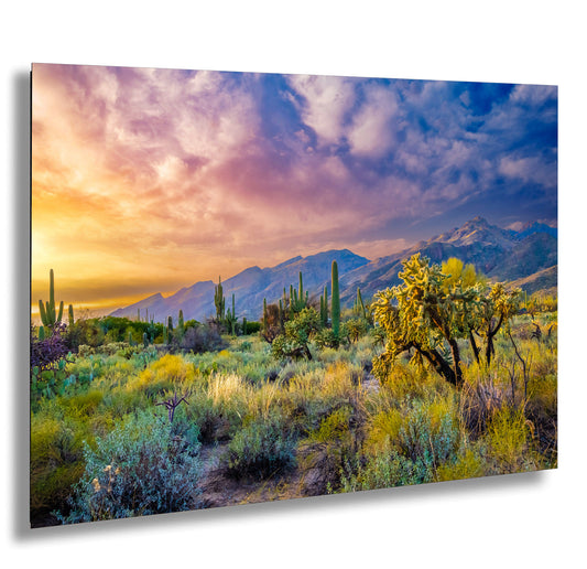 a painting of a desert landscape with mountains in the background