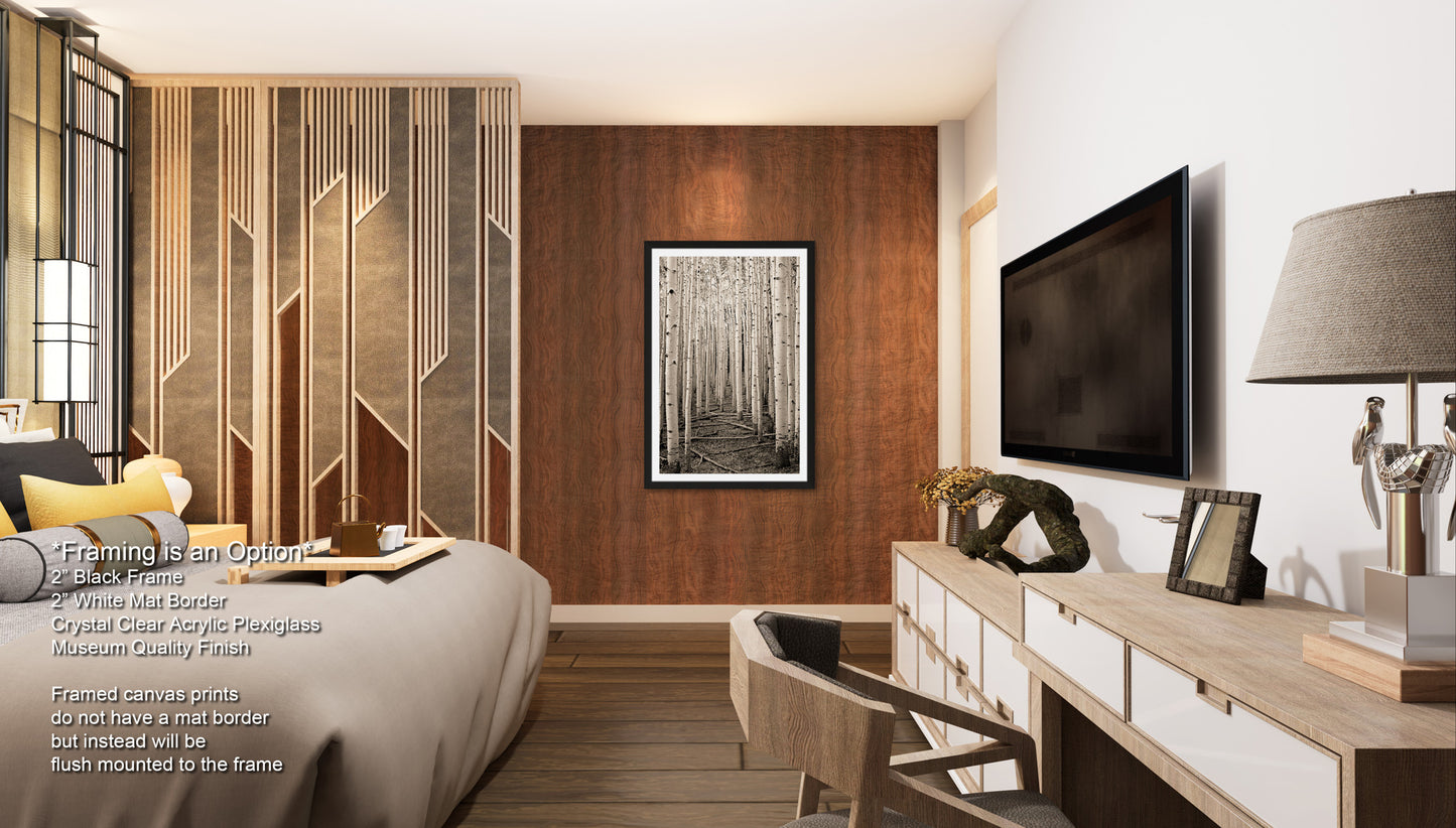 a bed room with a neatly made bed and a flat screen tv