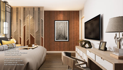 a bed room with a neatly made bed and a flat screen tv