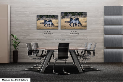 two pictures of horses on a wall above a table