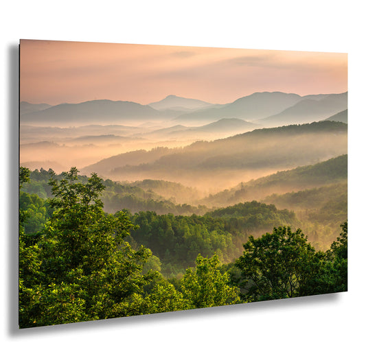 a view of a mountain range with trees in the foreground