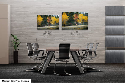 a dining room table with chairs next to a wall with a picture of a forest