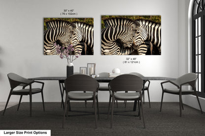 a couple of zebras standing next to each other