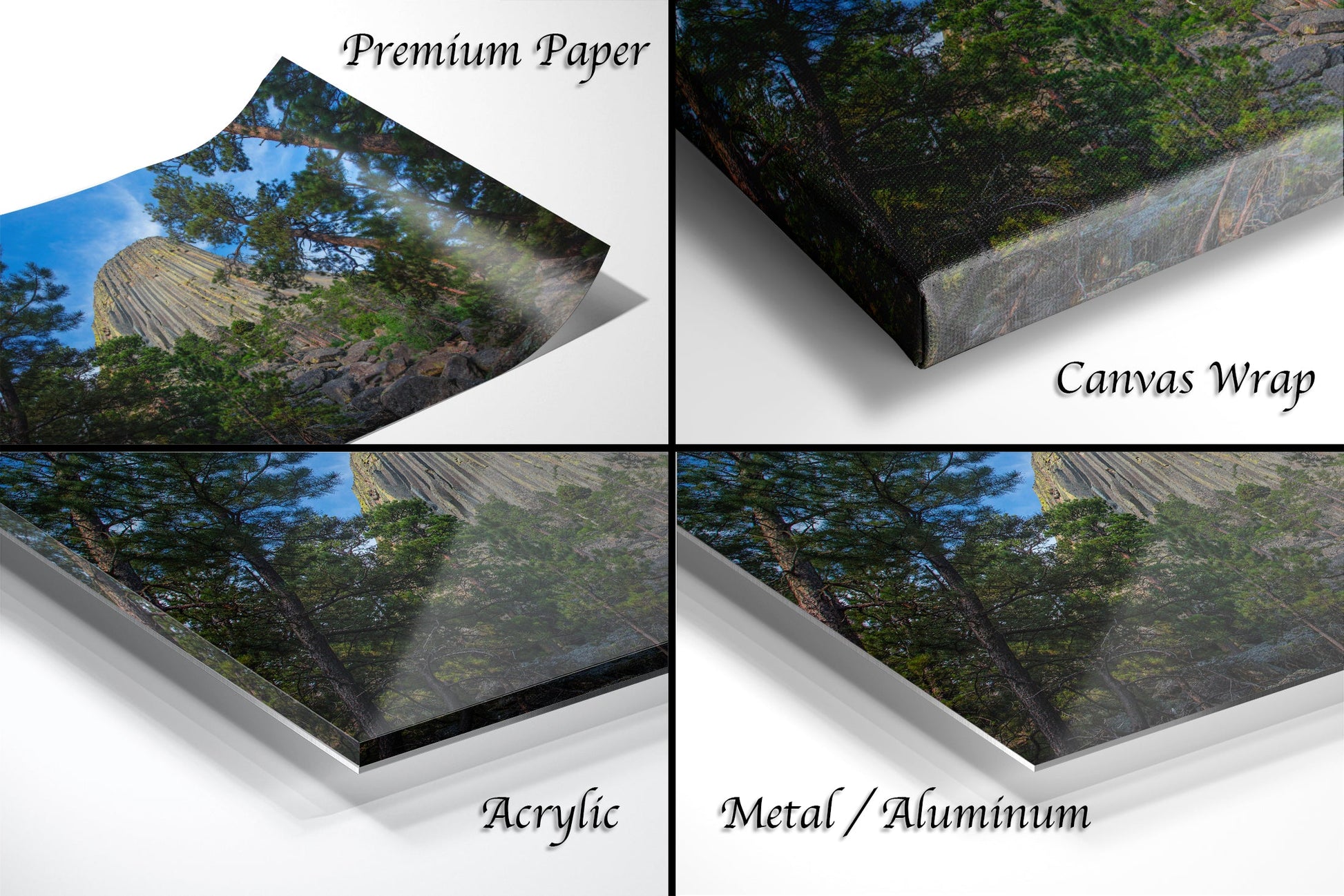 a series of four photos of a forest