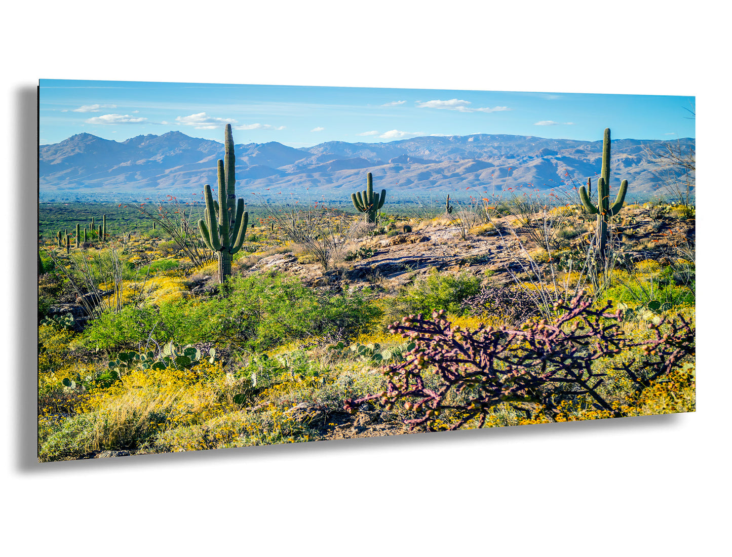 a desert landscape with towering mountains in the background, lush vegetation, and a clear blue sky.
