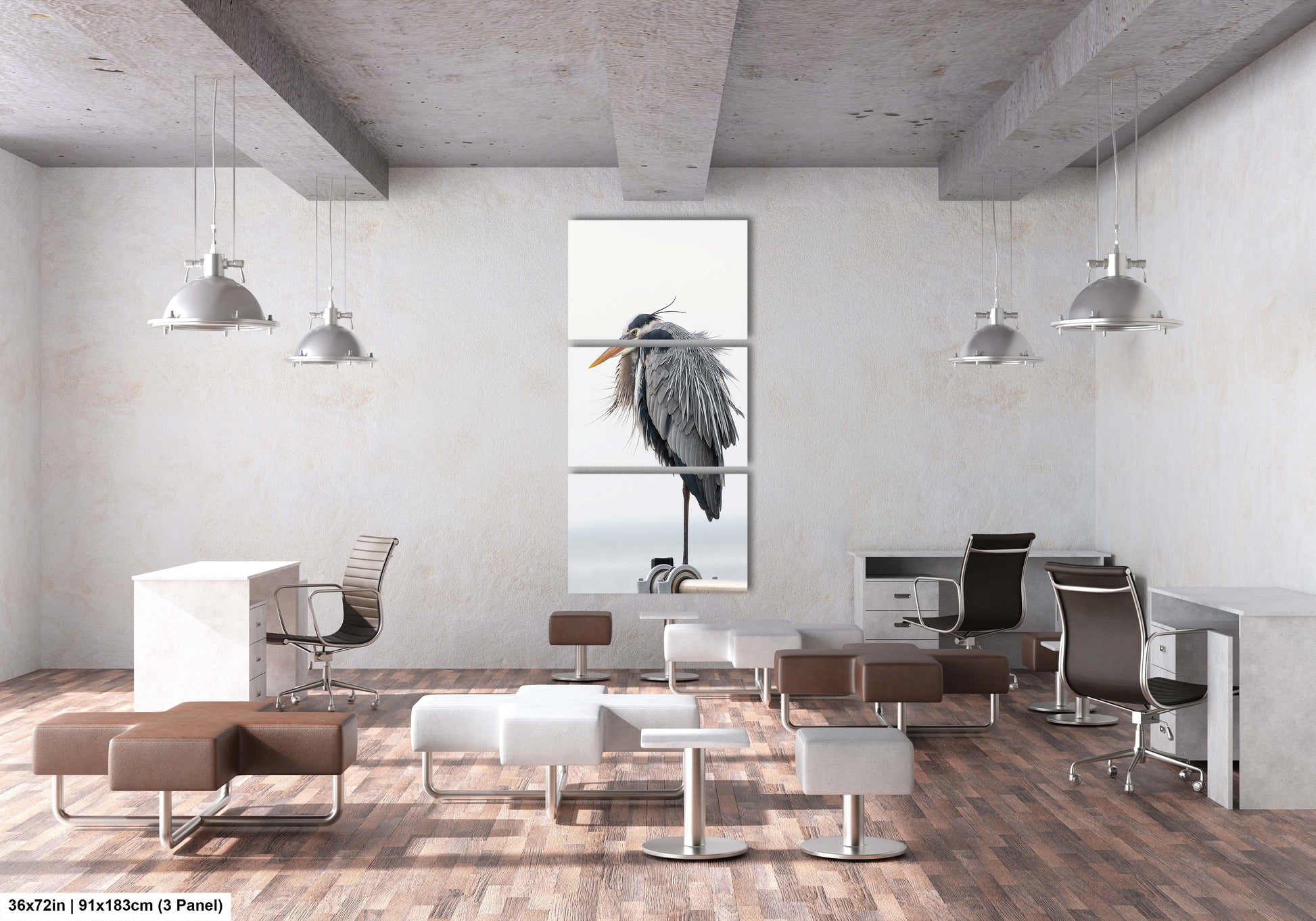 a room with chairs, desks, and a bird in a window