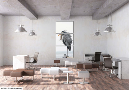 a room with chairs, desks, and a bird in a window