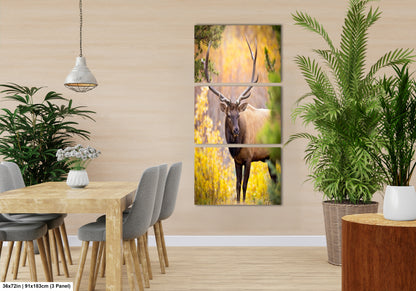 a dining room with a table and chairs