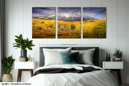a bed room with a neatly made bed and two pictures on the wall