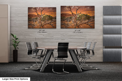 a dining room with a table and chairs