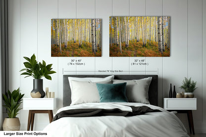 a bed room with two pictures hanging on the wall