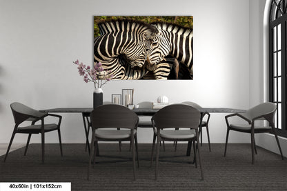 a couple of zebra standing next to each other