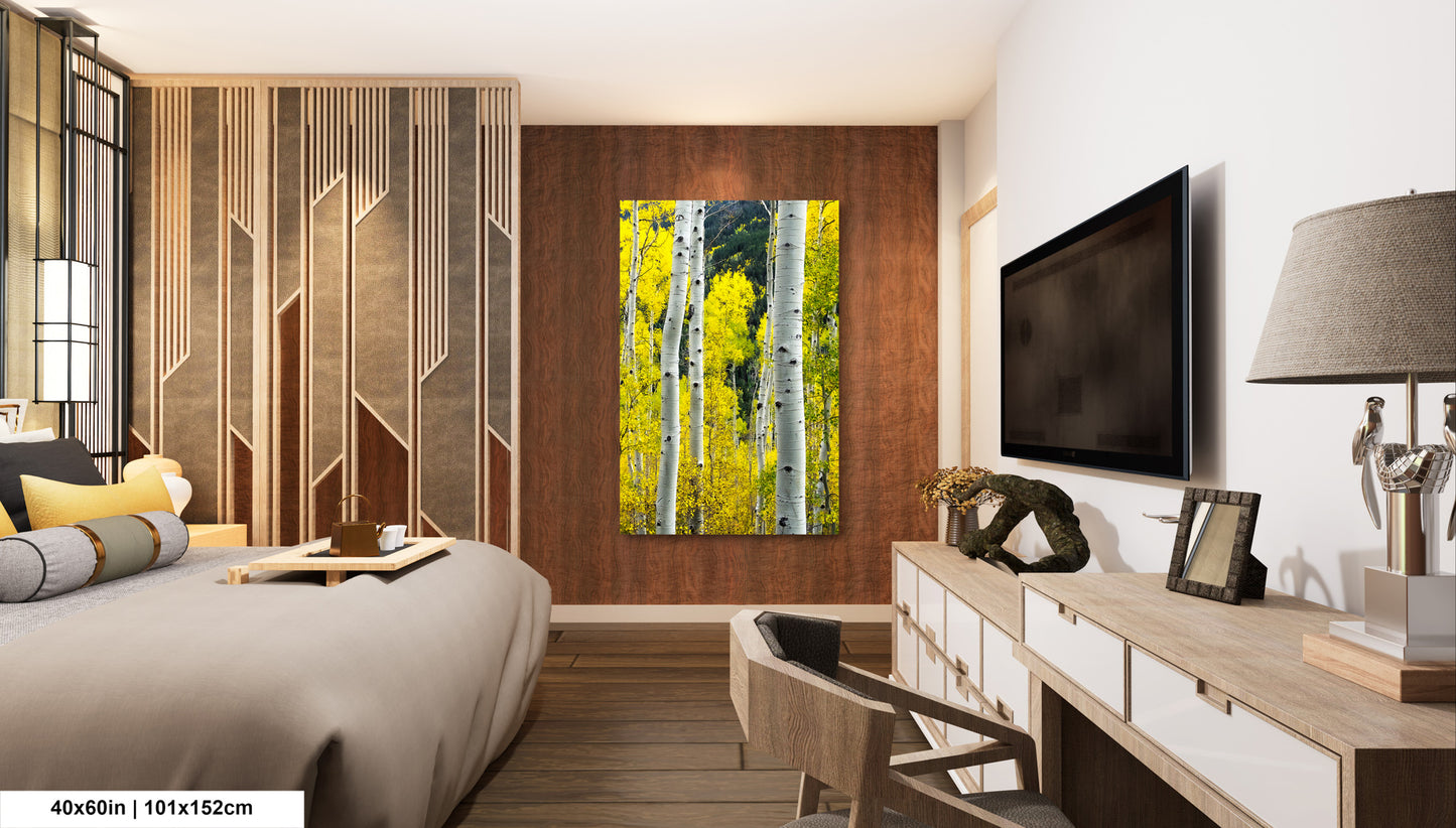 a bed room with a neatly made bed and a flat screen tv