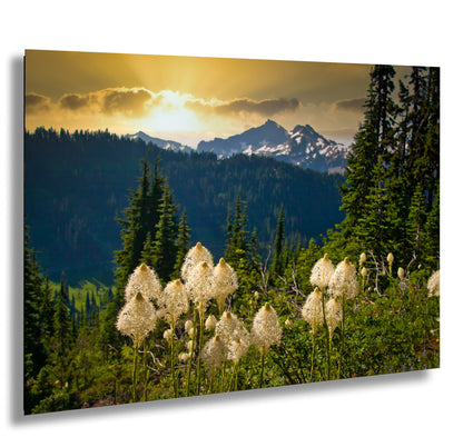 a picture of a mountain range with flowers in the foreground