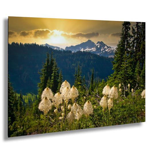 a picture of a mountain range with flowers in the foreground
