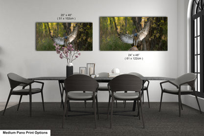 Medium Pano Print Options