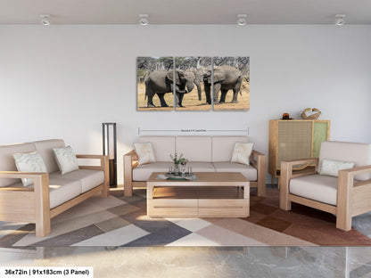 a living room with two couches and a coffee table