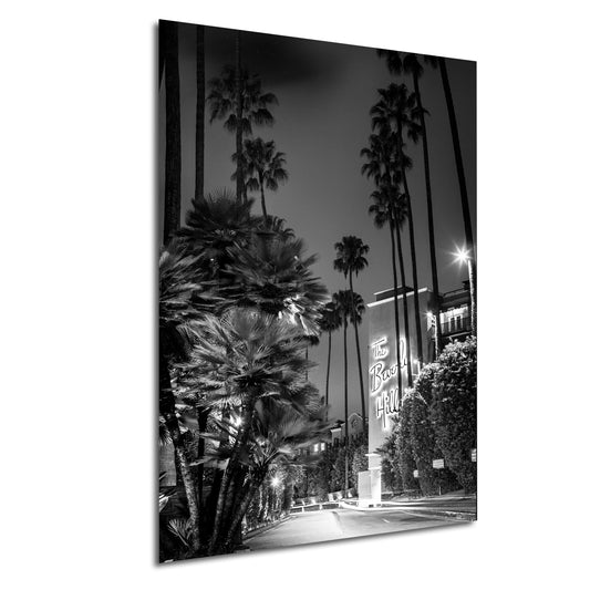 a black and white photo of a palm tree lined street