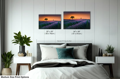 a bedroom with a bed and two pictures on the wall