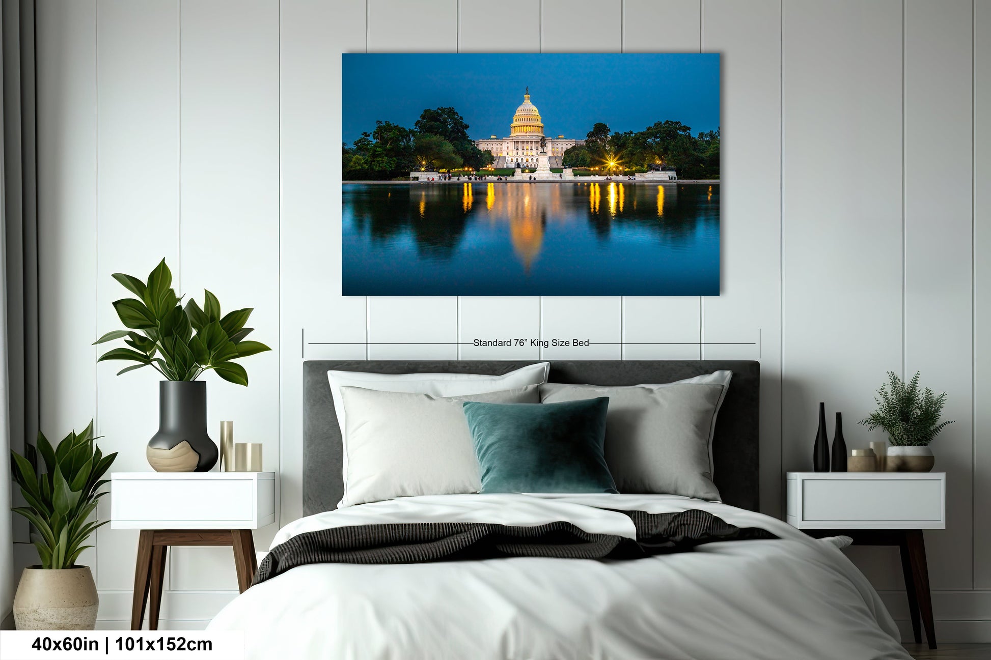 a picture of the capitol building taken from across the room