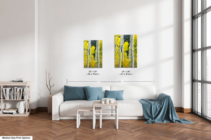 a living room with a white couch and two paintings on the wall