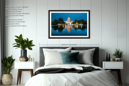 a picture of the capitol building in washington dc