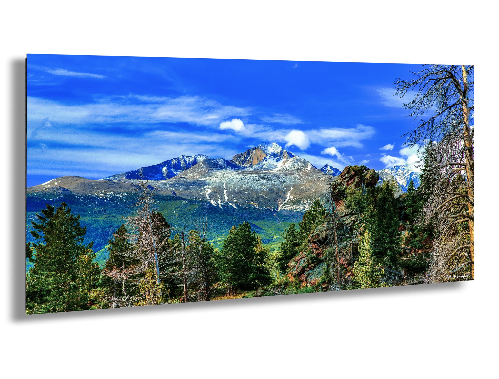 a scenic view of a mountain range with pine trees