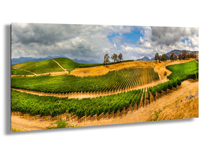 a scenic view of a vineyard in the hills