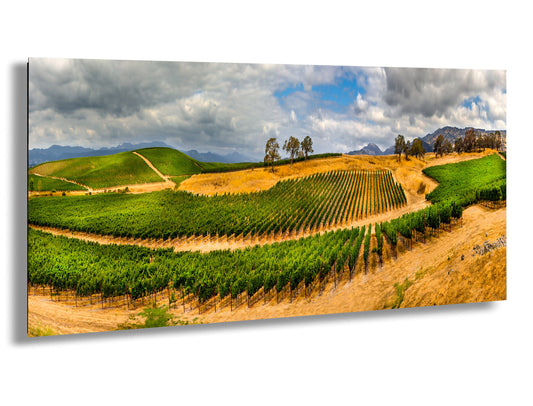 a scenic view of a vineyard in the hills