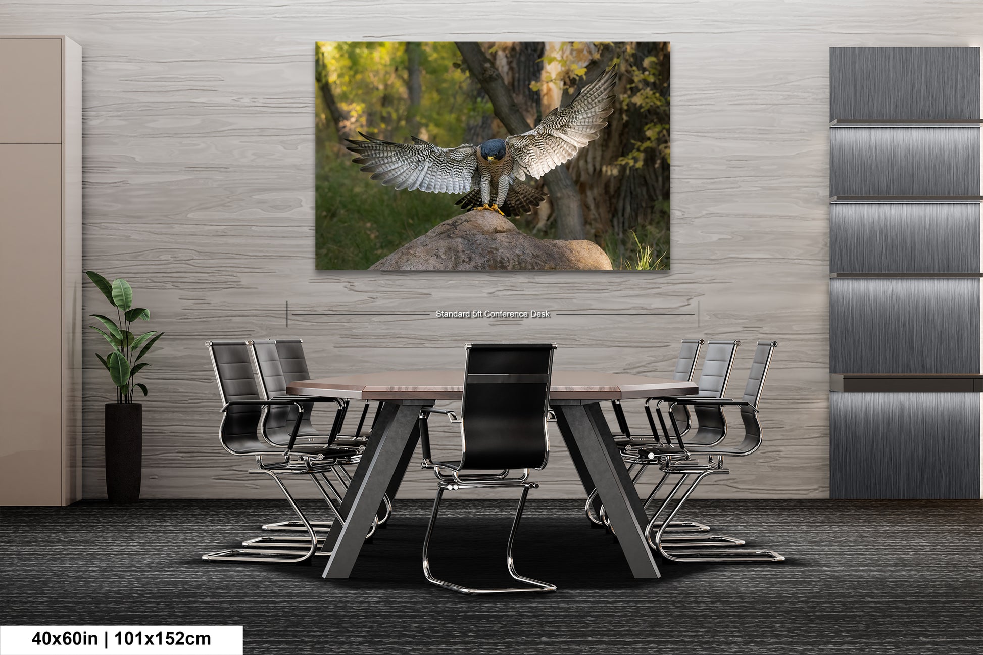 a large bird of prey, possibly a hawk or falcon, with its wings spread wide, perched on a rock in a natural setting.