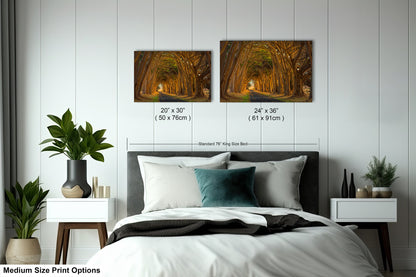 a bedroom with a bed and two pictures on the wall