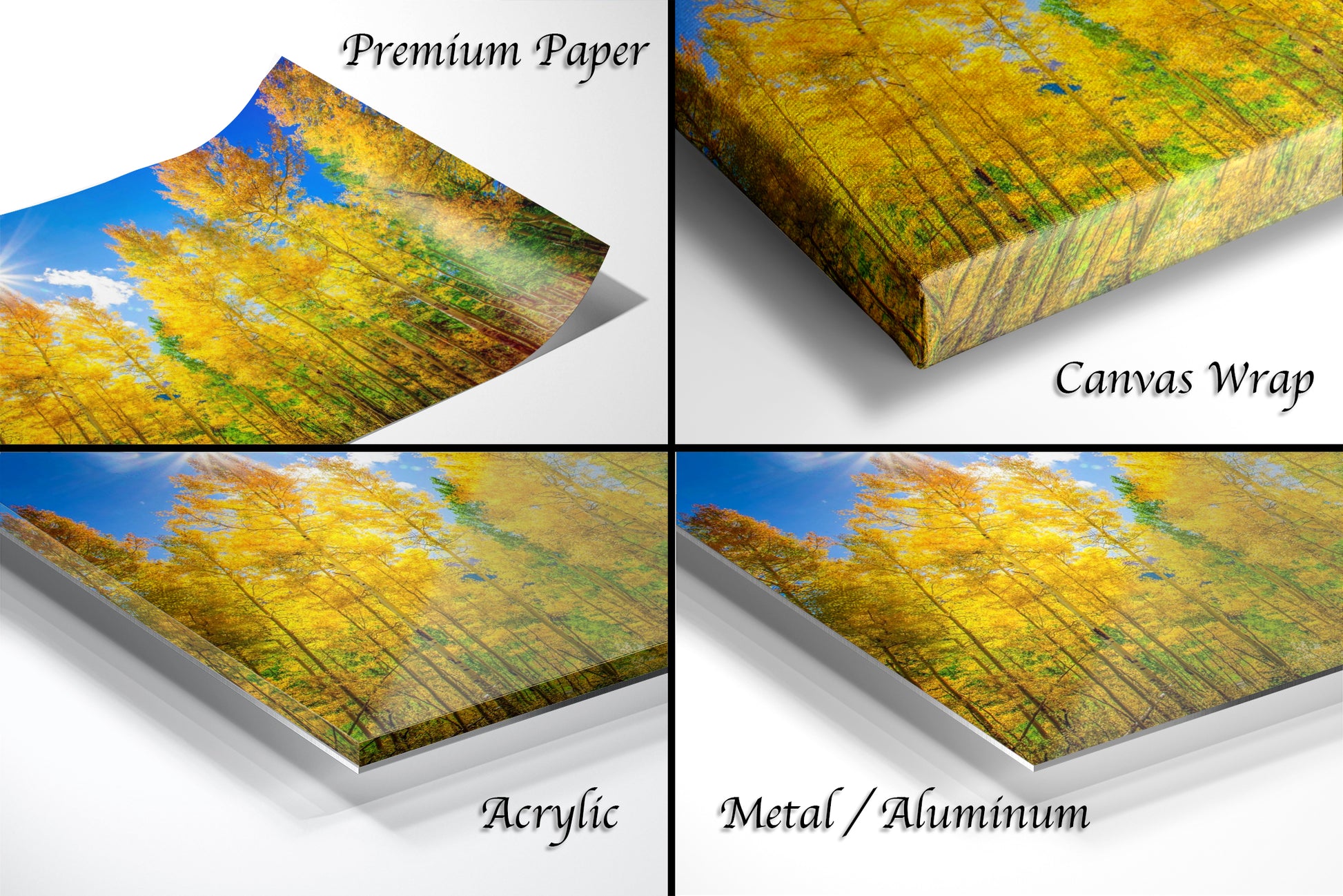 a series of four photos of a yellow tree