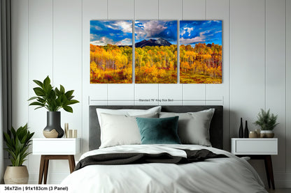 a bed room with a neatly made bed and two paintings on the wall