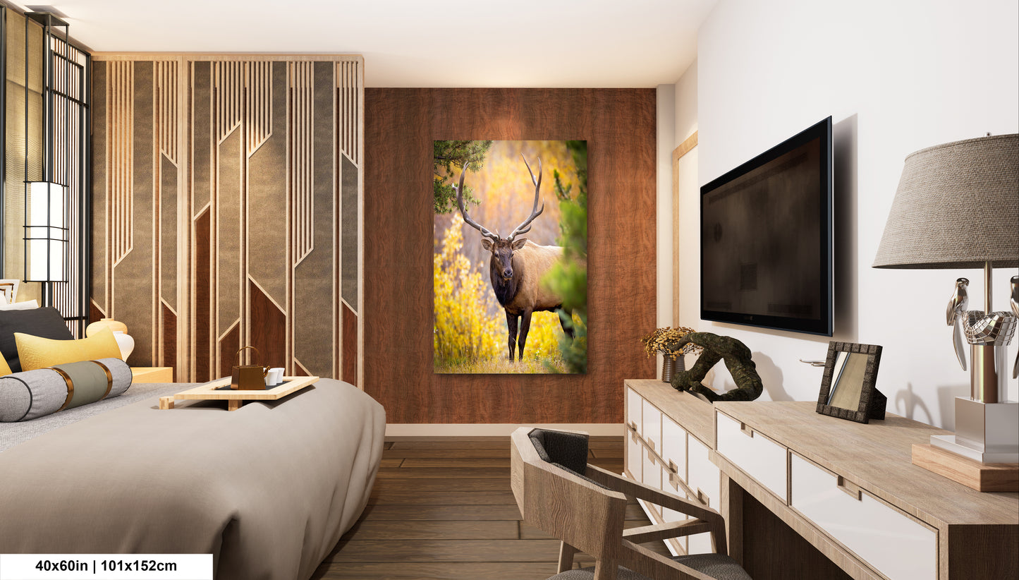 a bed room with a neatly made bed and a painting on the wall