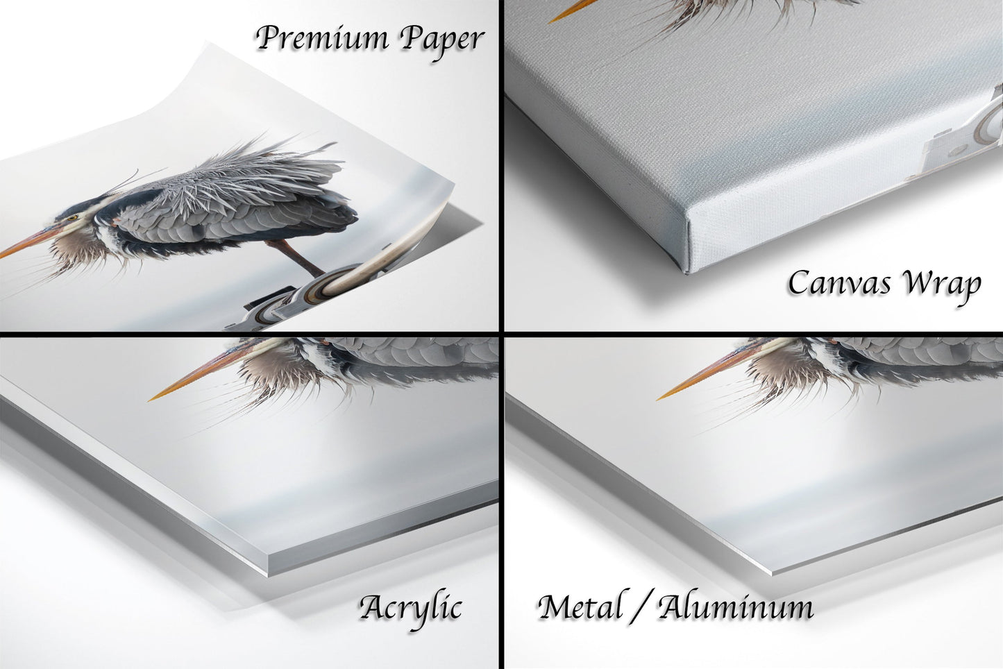 a close up of a book with a bird on it