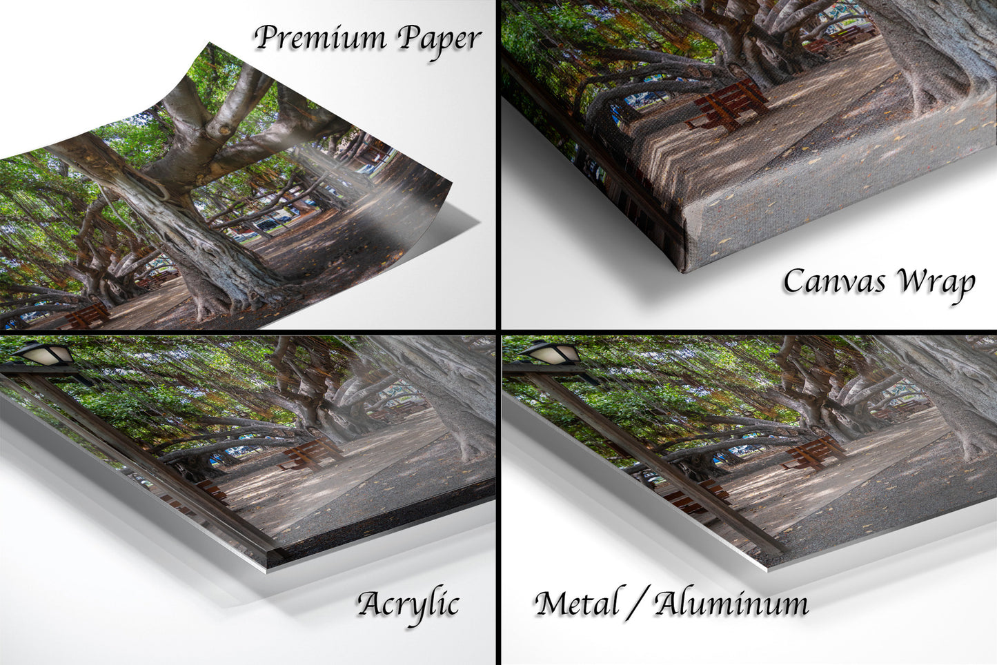 a series of four photos of a bench under a tree