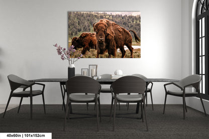 a dining room table with chairs and a picture of a bison on the wall