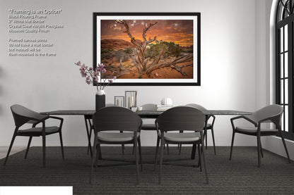 a picture of a dining room with a table and chairs