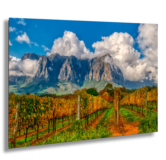 a painting of a vineyard with mountains in the background