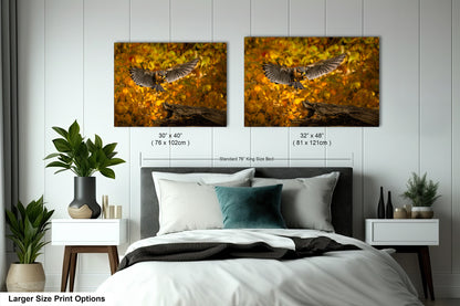 a bedroom with two pictures of a bird on the wall