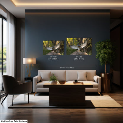 The image is a modern living room with a large window, a white sofa, a coffee table, and a potted plant. There are two framed pictures hanging on the wall, one depicting a bird and the other showing a forest scene. The image also includes text indicating the size of the pictures and the medium size print options.